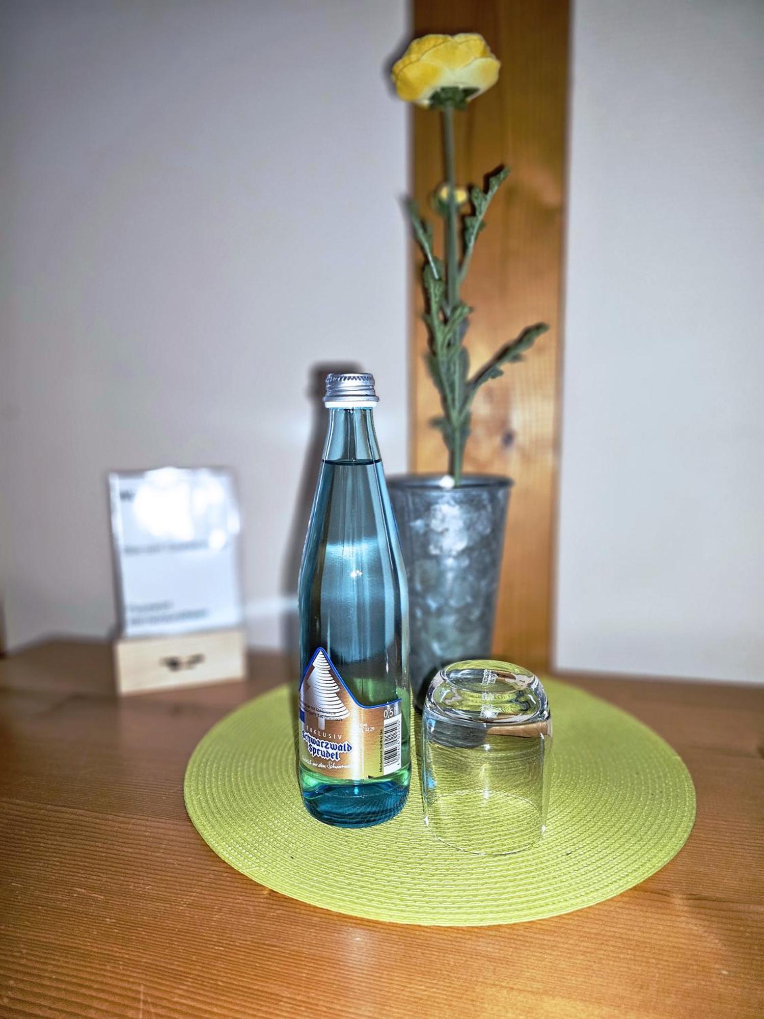 Landgasthaus Sternen Kehl Kültér fotó